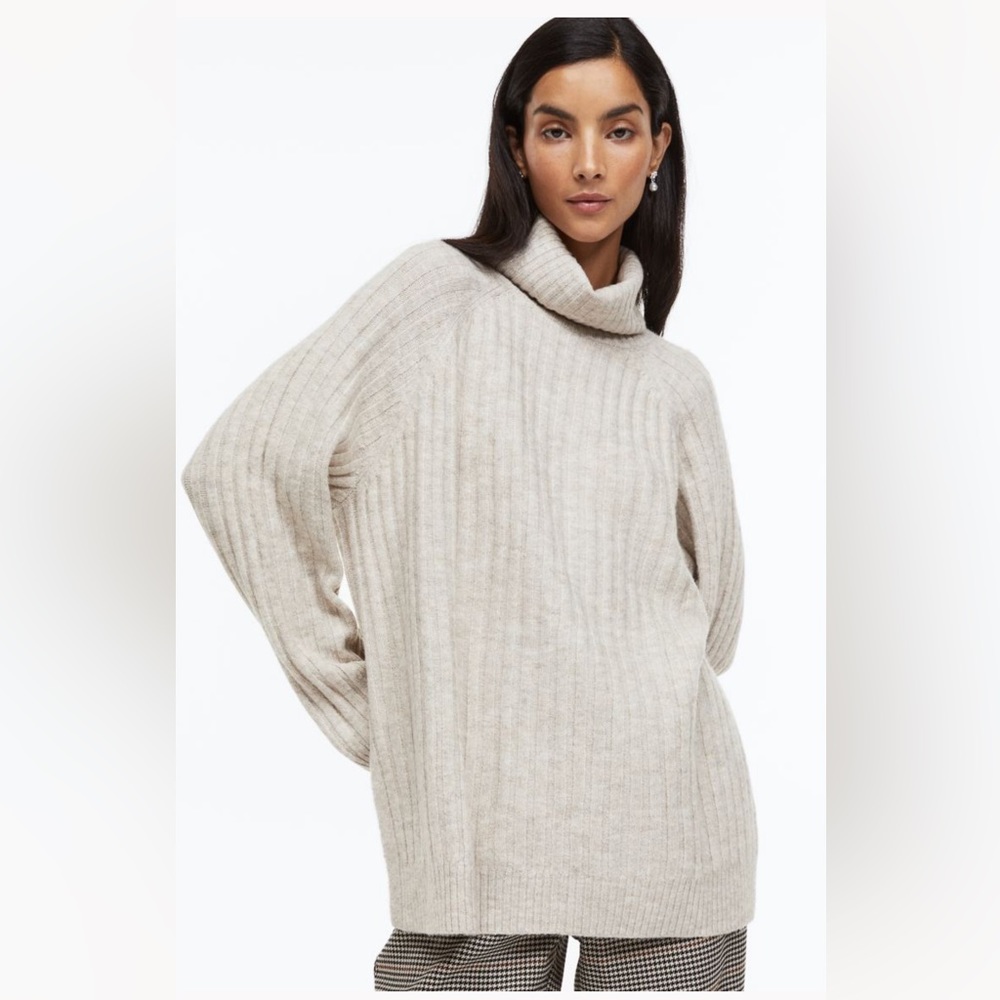 Turtle Neck Sweater Beige Size Small from H&M